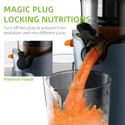 BioloMix Cold Press Juicer