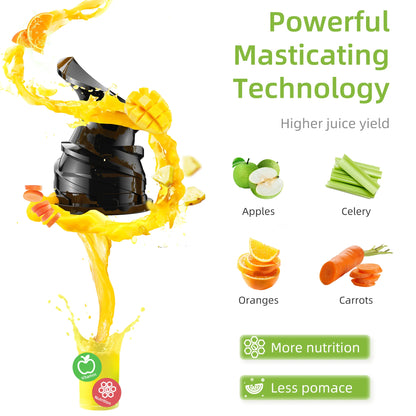 BioloMix Cold Press Juicer
