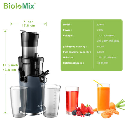 BioloMix Cold Press Juicer