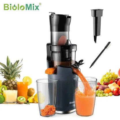 BioloMix Cold Press Juicer