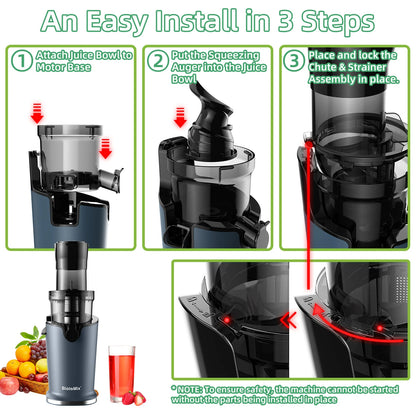 BioloMix Cold Press Juicer