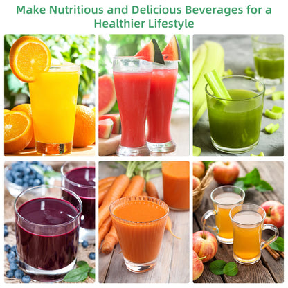 BioloMix Cold Press Juicer