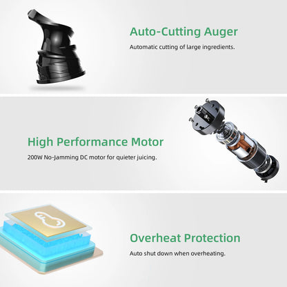 BioloMix Cold Press Juicer